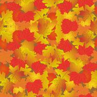 Seamless pattern with bright autumn leaves N11