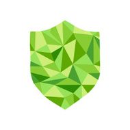 Polygonal guard Icon with geometrical figures N2
