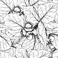 Decorative seamless pattern with hazelnuts and leaves