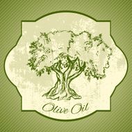 Grunge vintage label with olive tree