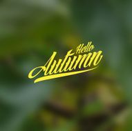 Hello autumn N8