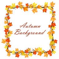 Autumn design N7