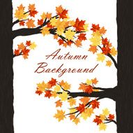 Autumn design N8