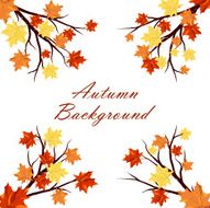 Autumn design N9
