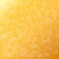 Vector christmas greeting background N2