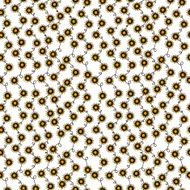 Print N277