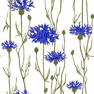 Seamless pattern with cornflowers Hand-drawn vector illustration
