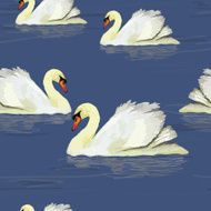white swan in the water