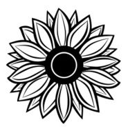 Sunflower N13