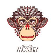 Monkey Color Face N2