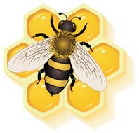 working bee on honey cells