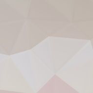 Low polygon Triangle Pattern Background N141