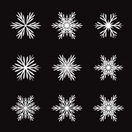 Collection of White Snowflakes Black Background
