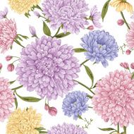 aster flower with white background