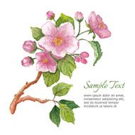 Template for greeting card with watercolor cherry blossoms