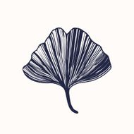 Ginkgo Biloba Leaf N5