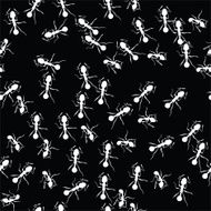Running ants