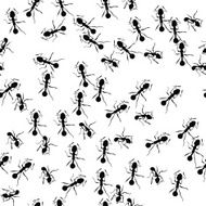 Running ants N2