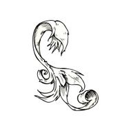 traditional hand drawn floral swirl N33