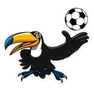 Cartoon toucan bird player with ball