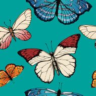 Butterfly 4