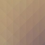 Low polygon Triangle Pattern Background N382