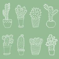 Cactus set