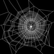 Cobweb White on Black Background Vector