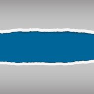 vector of ripped open paper N2