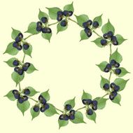 frame of blackberry with green leaves