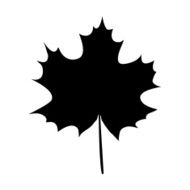 Maple Leaf Silhouette N3