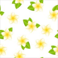 frangipani seamless N2