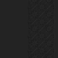 Abstract background with traditional ornament N15