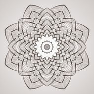 Vector circular pattern in the form of intricate flower Mandala N5