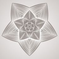 Vector circular pattern in the form of intricate flower Mandala N6