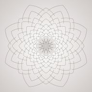Vector circular pattern in the form of intricate flower Mandala N8