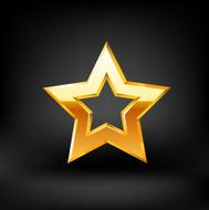 Gold Star Vector N2