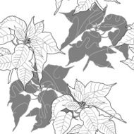 Seamless pattern with black and white poinsettia