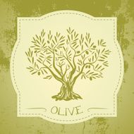 Grunge vintage label with olive tree N4