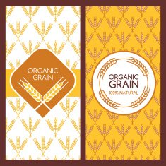 Set of vector backgrounds for label package banner N2