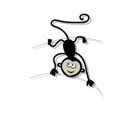 Funny monkey for your design N3