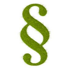 Paragraph green lawn vector on white background N2