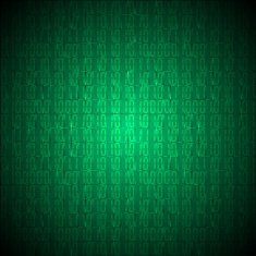 Binary computer code N2