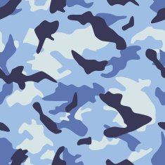 Marine Camouflage N2