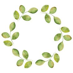 Pattern with branches Watercolor round vector frame 1
