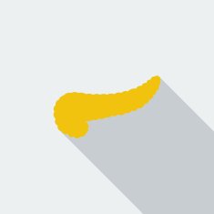 Pancreas icon