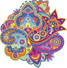 paisley N43