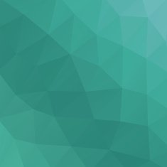 Polygon Vector Background N55
