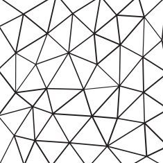 Polygon Vector Background N56