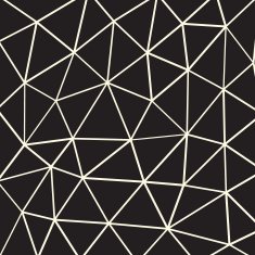 Polygon Vector Background N60